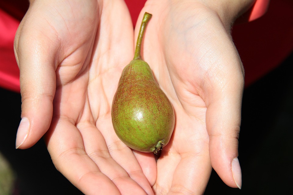 farming and gardening