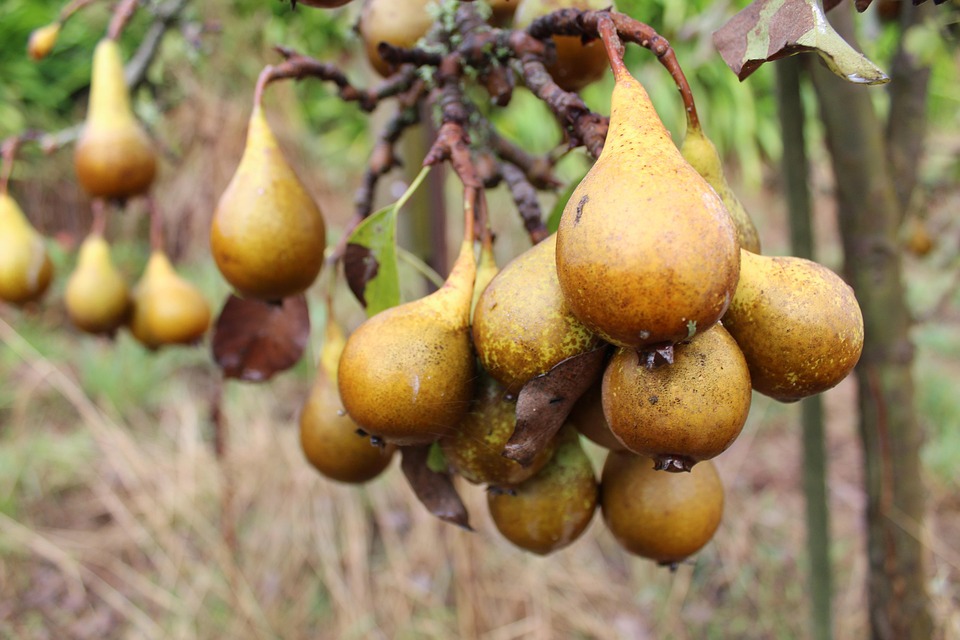 farming and gardening