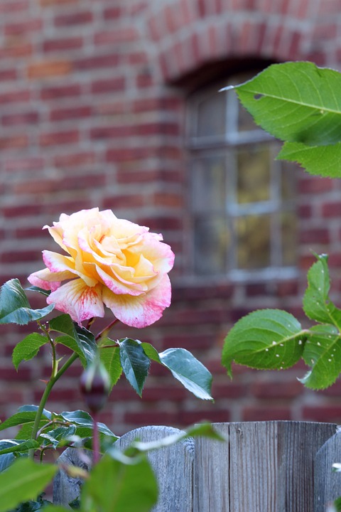 farming and gardening