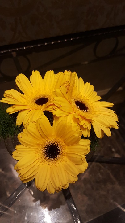 farming and gardening