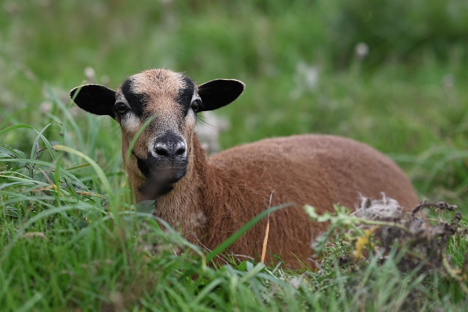 farming and gardening