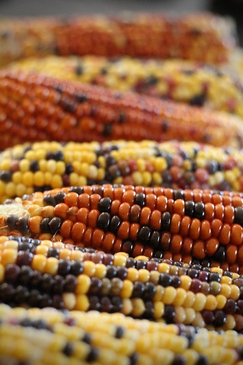 farming and gardening