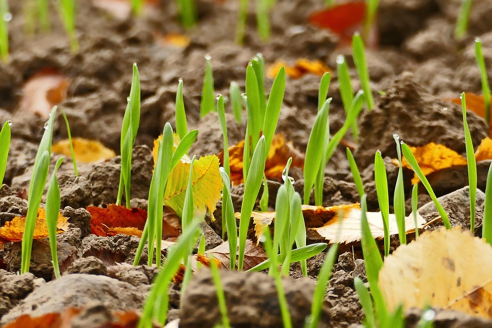 farming and gardening