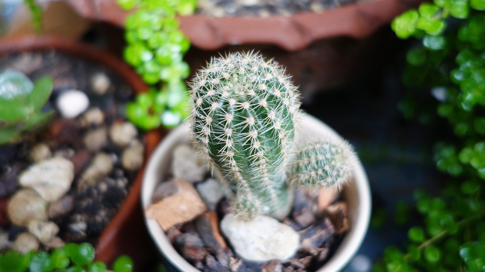 farming and gardening