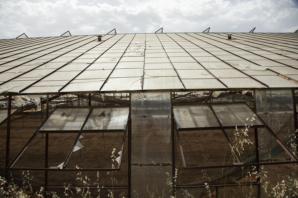 farming and gardening