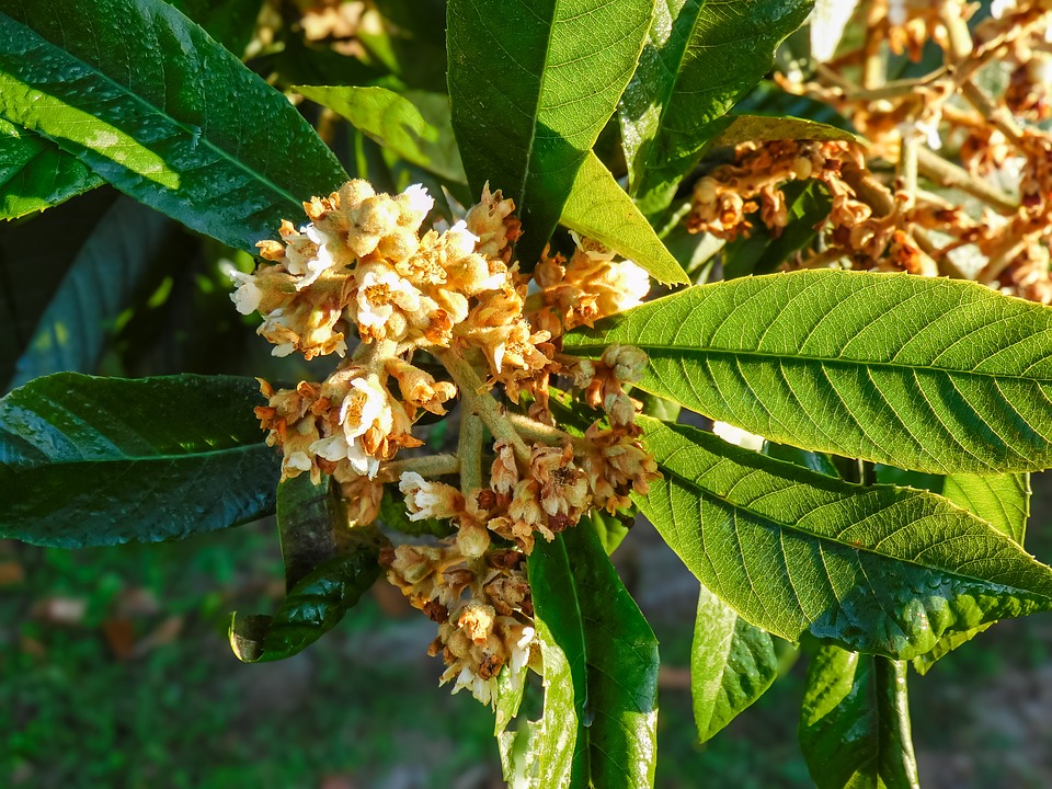 farming and gardening