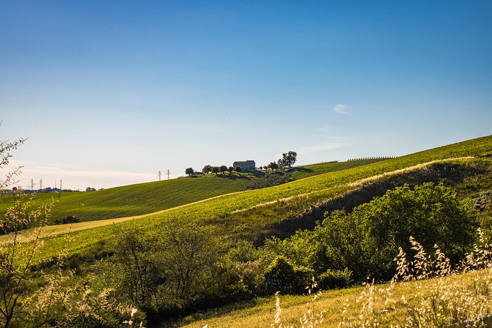 farming and gardening