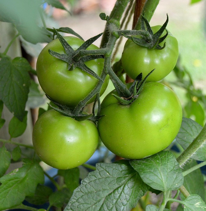 farming and gardening