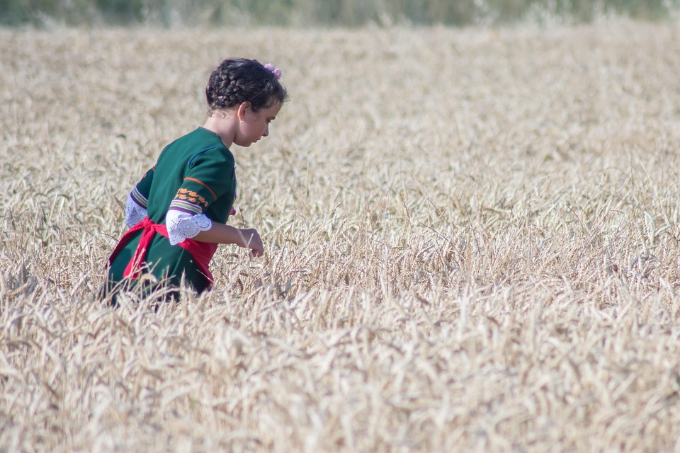 farming and gardening