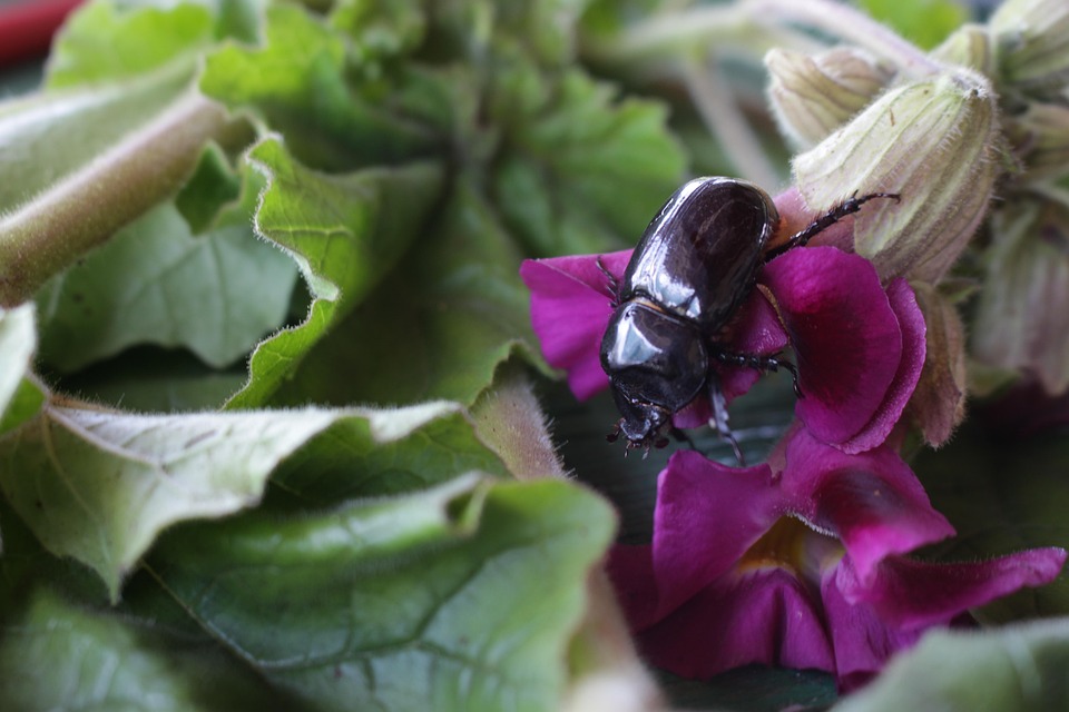 farming and gardening
