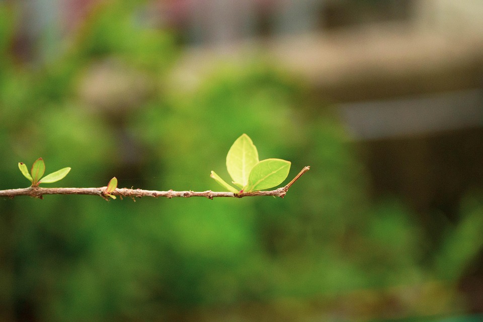 farming and gardening