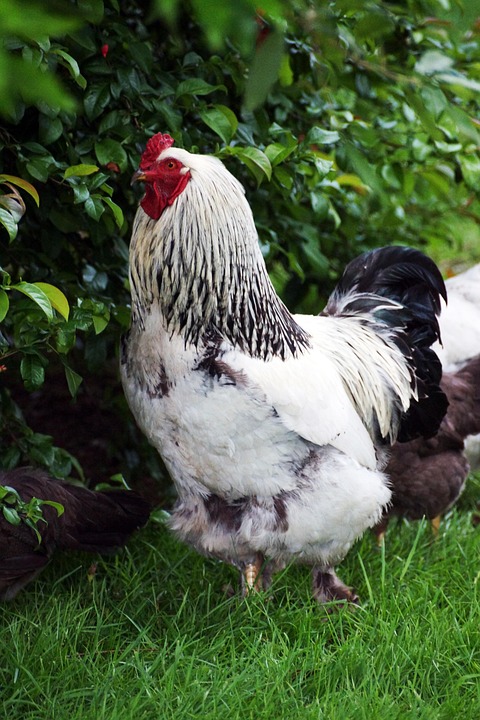 farming and gardening