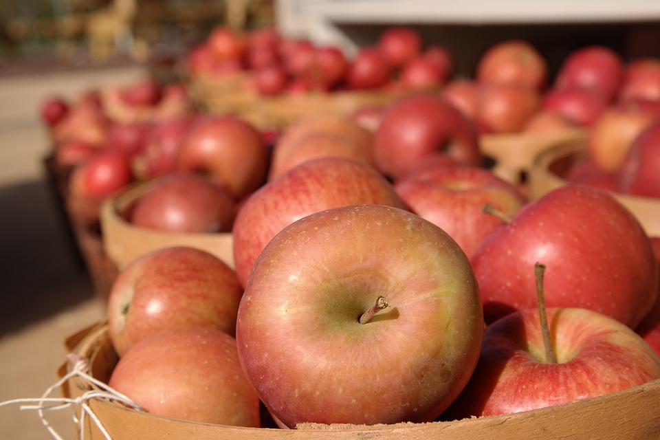 farming and gardening