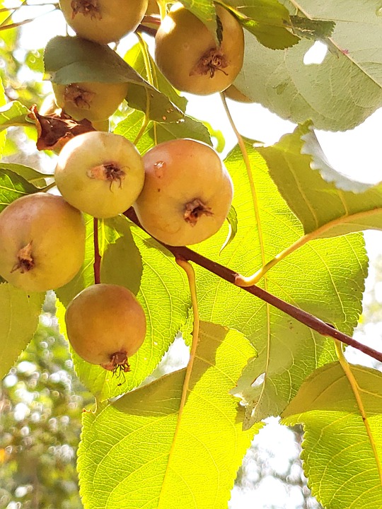 farming and gardening