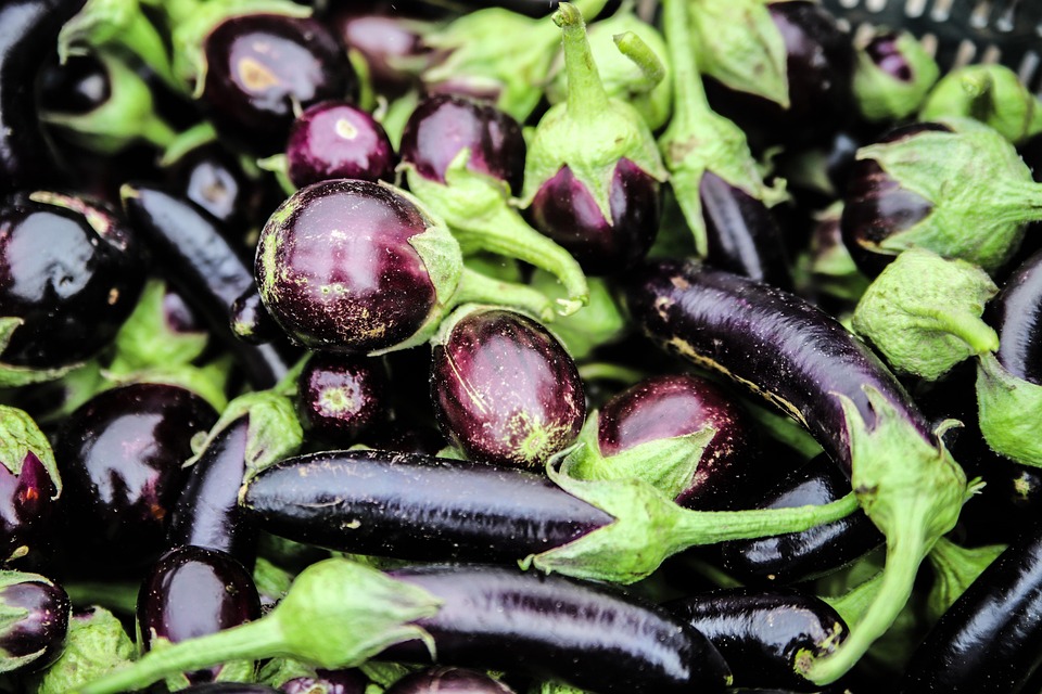 farming and gardening