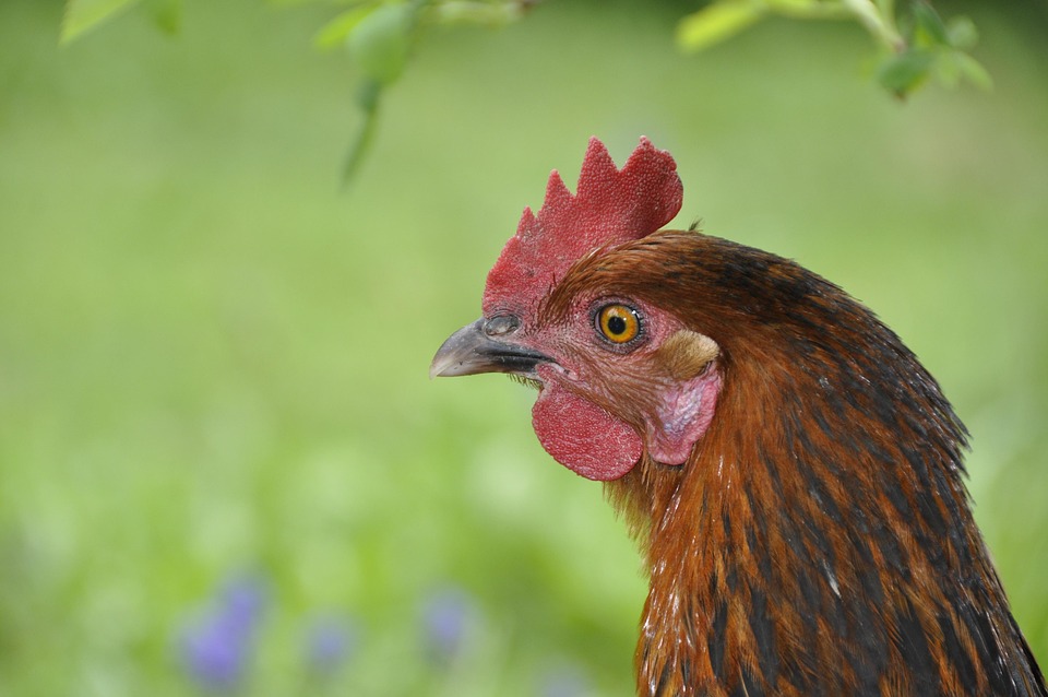 farming and gardening