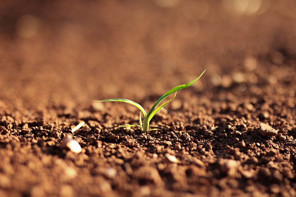 farming and gardening