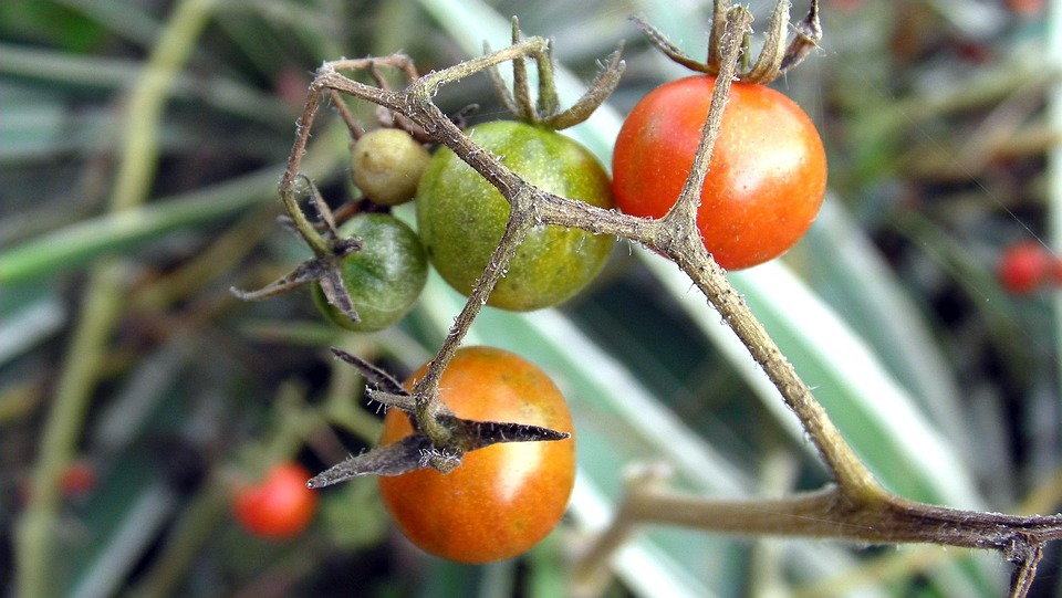 farming and gardening