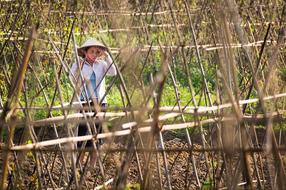 farming and gardening